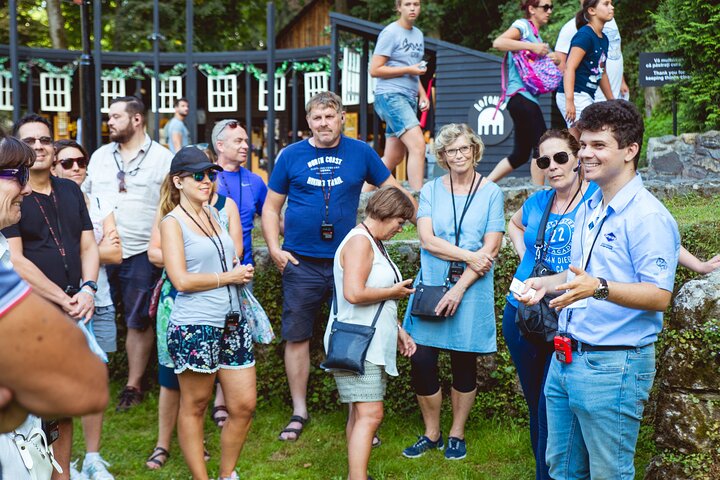 Transylvania and Dracula Castle Full Day Tour from Bucharest