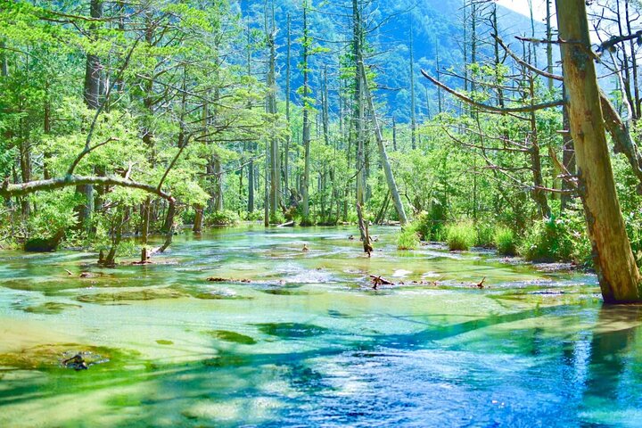 1-Day Tour from Nagano and Matsumoto Kamikochi & Matsumoto Castle