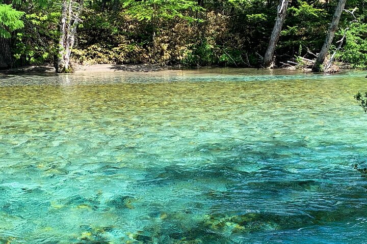 1-Day Tour from Nagano and Matsumoto Kamikochi & Matsumoto Castle