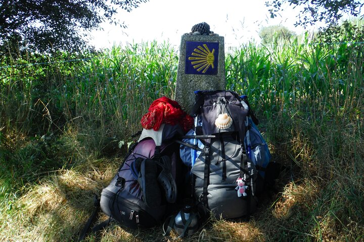 7-Day Tour of the French Way of Santiago from Sarria