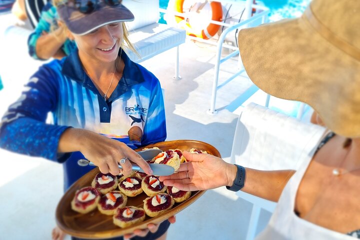 Snubfin Dolphin Eco Cruise from Broome