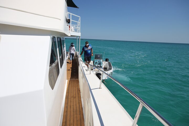 Snubfin Dolphin Eco Cruise from Broome