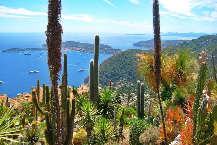 Private Customized French Riviera Tour from Port Villefranche 8H