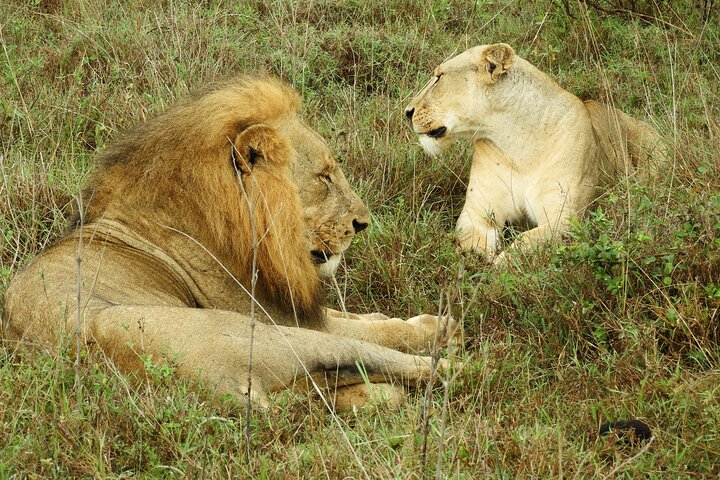 Private Adventure: Nairobi park, Elephants & Giraffe centre