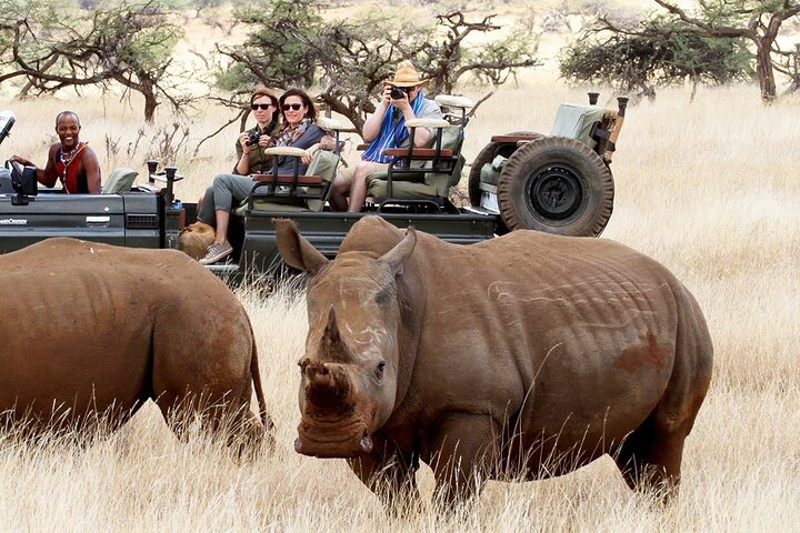 Private Adventure: Nairobi park, Elephants & Giraffe centre