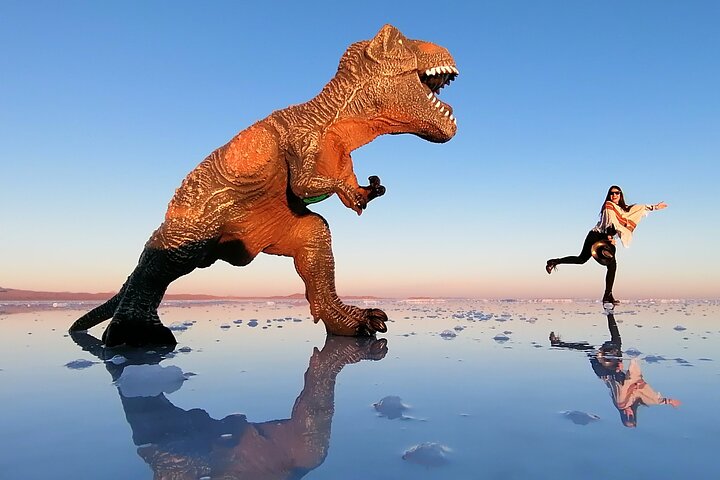 Uyuni Salt Flat 1 Day Tour +Sunset in the Salt Water Region with Mirror Effect
