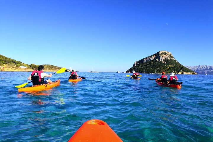 Kayak tour with aperitif and dolphins