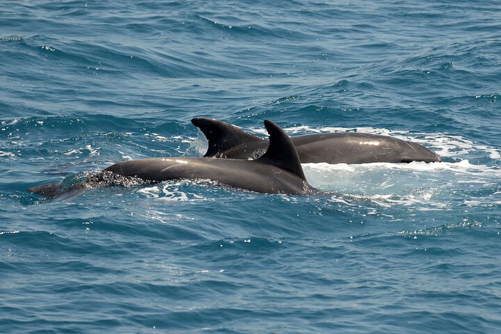 Full Day 3-Island Boat Cruise from Port of Kos