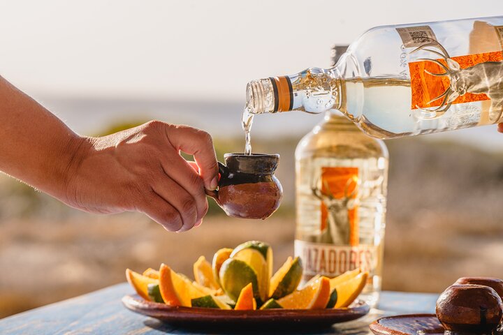 Cabo ATV Tour, Camel Ride with Tequila and Mexican Buffet Lunch