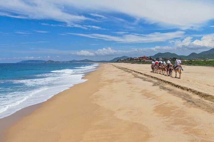 Cabo ATV Tour, Camel Ride with Tequila and Mexican Buffet Lunch