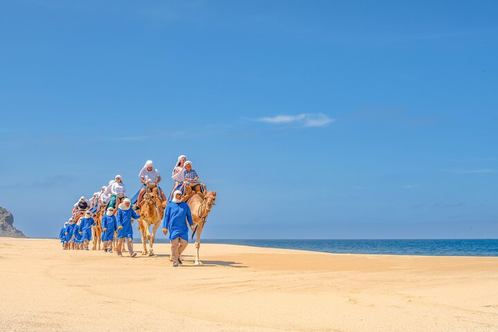 Cabo ATV Tour, Camel Ride with Tequila and Mexican Buffet Lunch