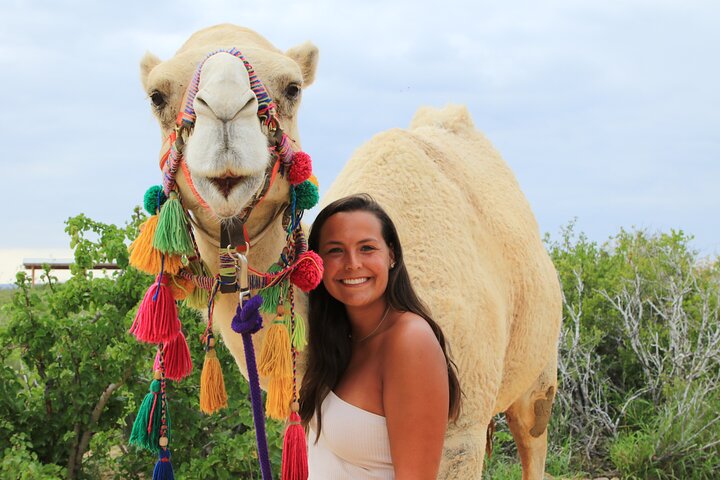 Cabo ATV Tour, Camel Ride with Tequila and Mexican Buffet Lunch