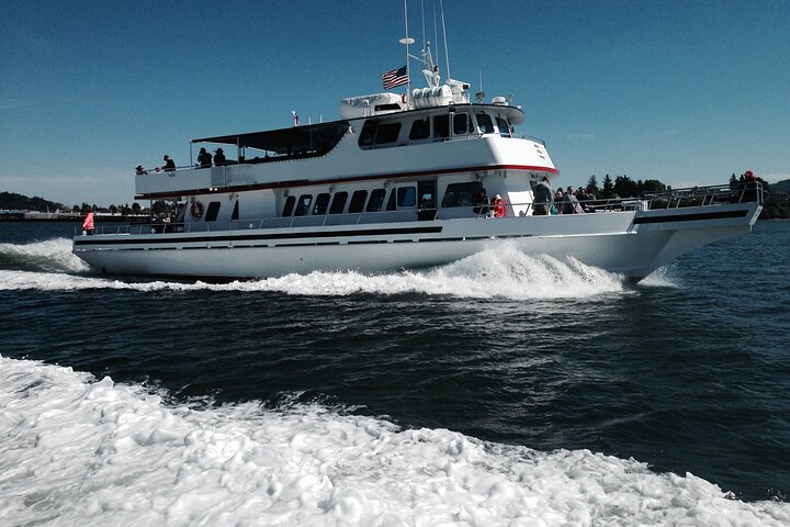Whale Watching from Friday Harbor