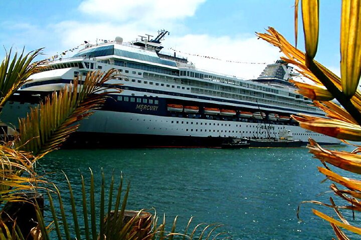 Private Customized French Riviera Tour from Port of Cannes 8H