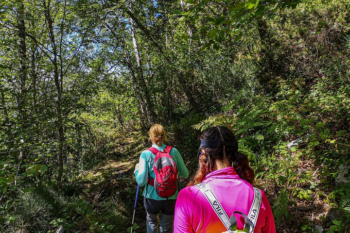 Hiking Experience in Asturias, from Gijón or Oviedo