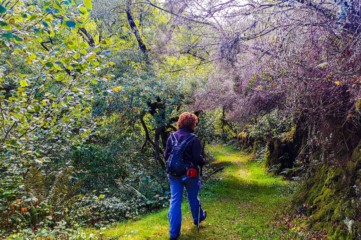 Hiking Experience in Asturias, from Gijón or Oviedo