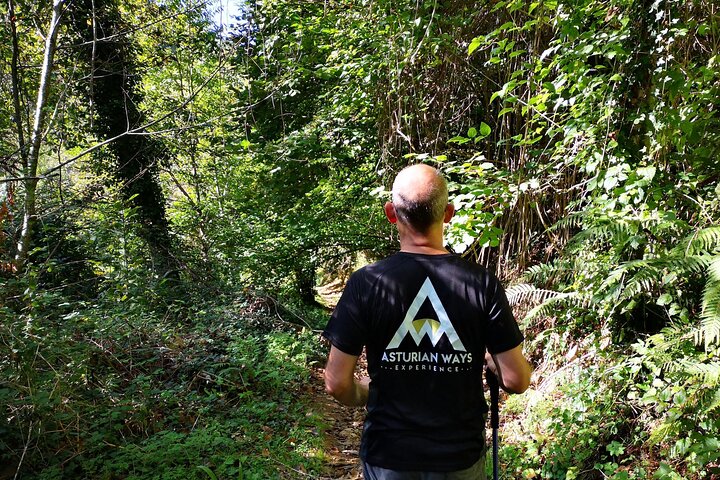 Hiking Experience in Asturias, from Gijón or Oviedo