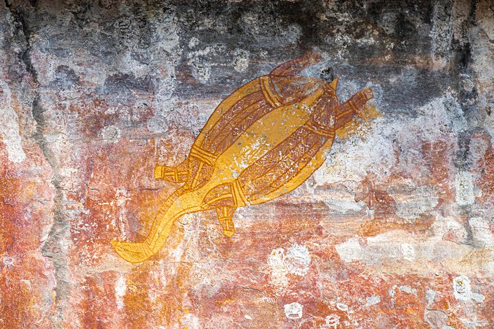 Kakadu National Park Wildlife & Ubirr Rock Art Tour from Darwin