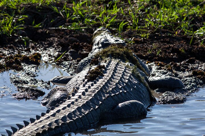 Kakadu National Park Wildlife & Ubirr Rock Art Tour from Darwin