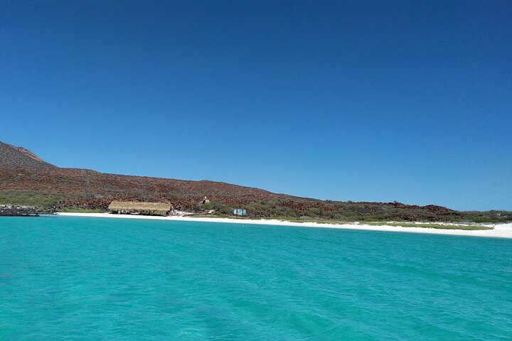 Best Tour to Coronados Island