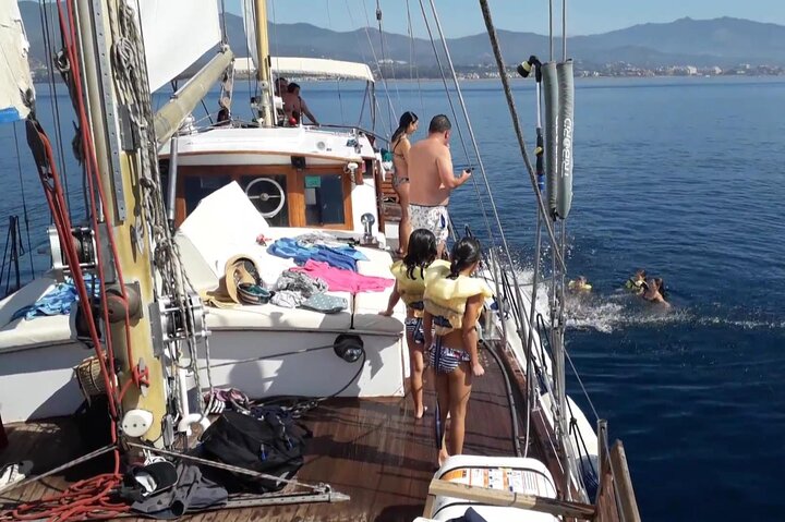 Dolphin Watching Adventure in Estepona Bay