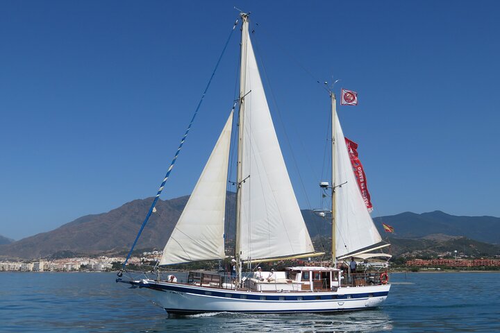 Dolphin Watching Adventure in Estepona Bay