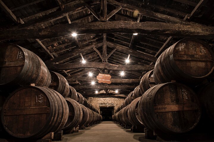 150-minute VIP visit of a vineyard in Segonzac with cocktail break