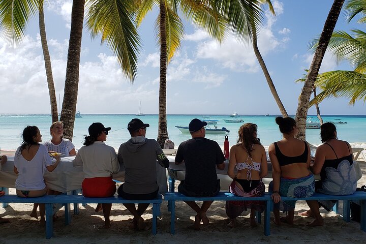 Small Group: Saona Island Full Day Tour