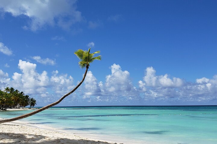 Small Group: Saona Island Full Day Tour