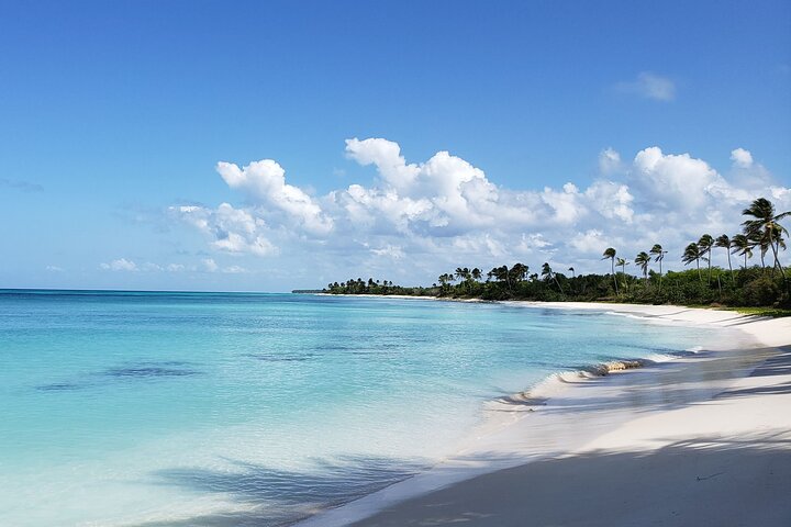 Small Group: Saona Island Full Day Tour