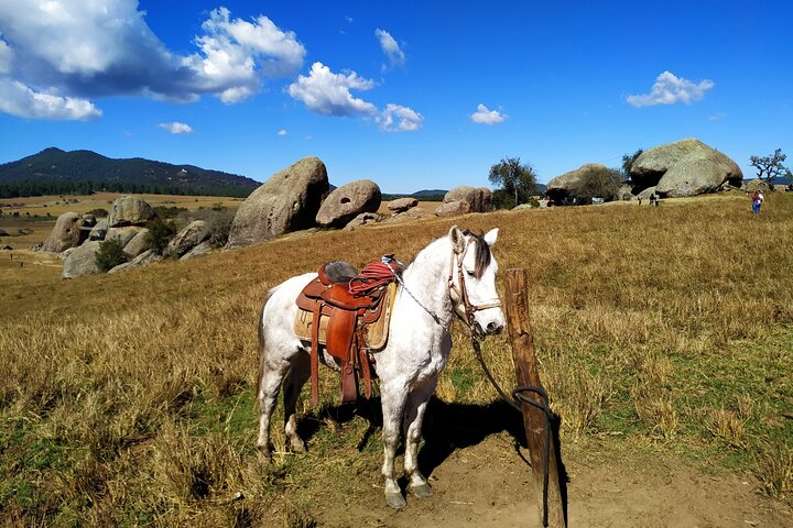 Tapalpa Private Day Trip: Mountains, Nature & Local Culture