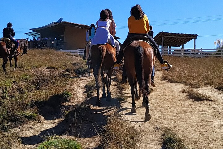 Tapalpa Private Day Trip: Mountains, Nature & Local Culture