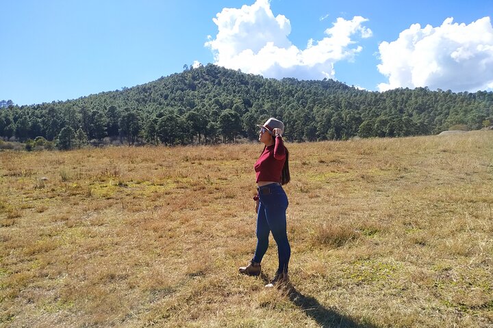 Tapalpa Private Day Trip: Mountains, Nature & Local Culture