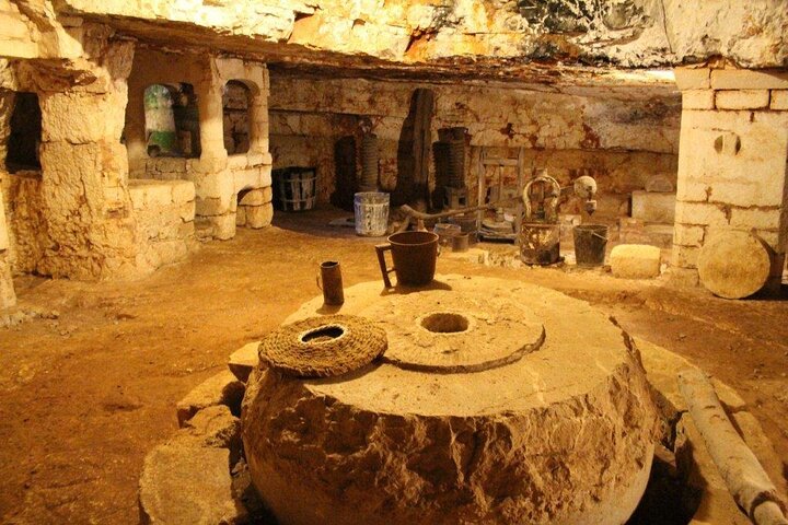 Ostuni : Tasting of Extra Virgin Olive Oil in Masseria
