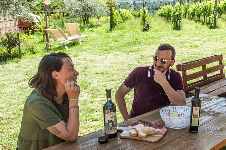 Visit to the Cinta Senese farm in Montepulciano