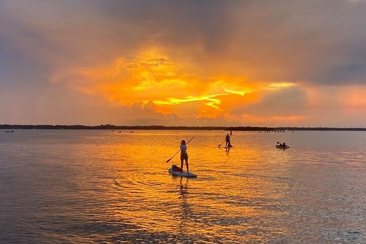Bioluminescence Clear Kayak & Paddleboard Tour – Near Orlando