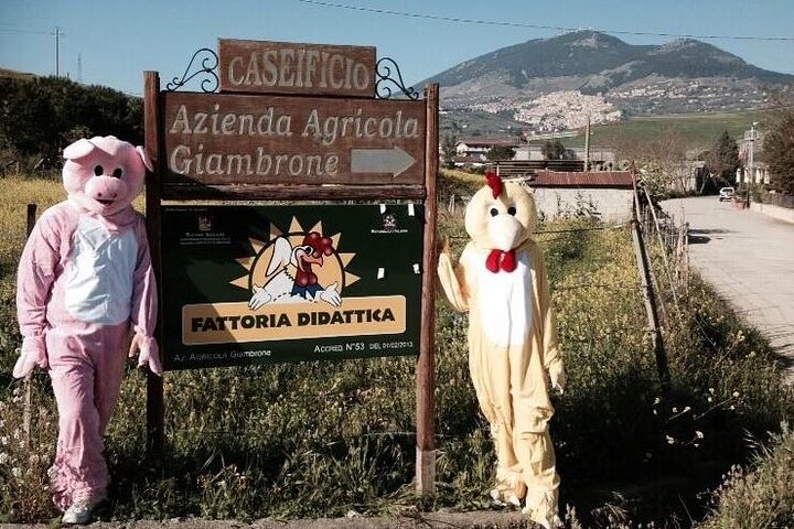 Guided tour from Agrigento: Sicilian traditions with a farm