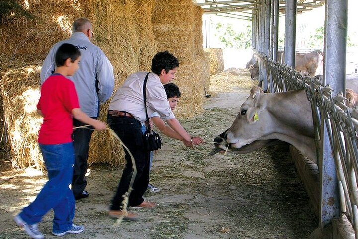 Guided tour from Agrigento: Sicilian traditions with a farm