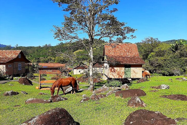 Germanic Roots Tour Blumenau and Pomerode