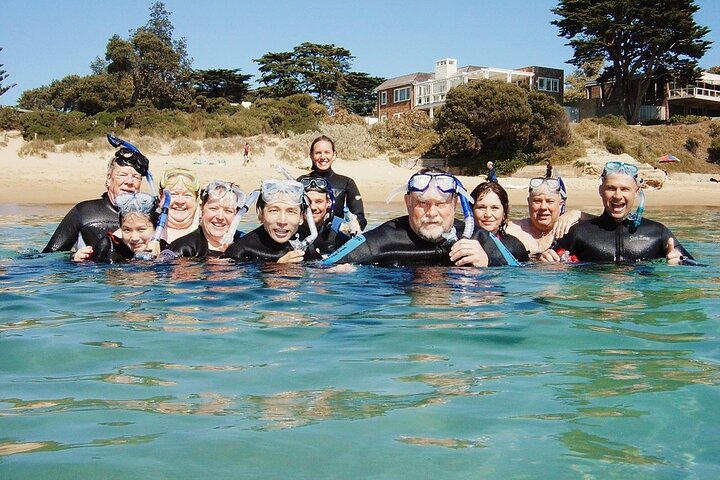 Port Phillip Bay Snorkeling with Sea Dragons