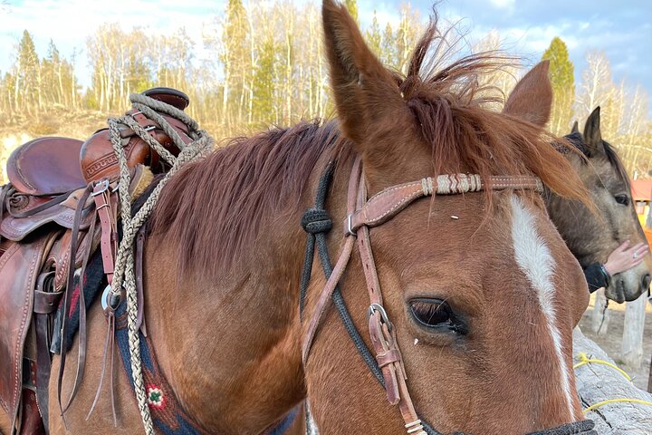 Horseback Riding with Grand Teton Views in Jackson Hole