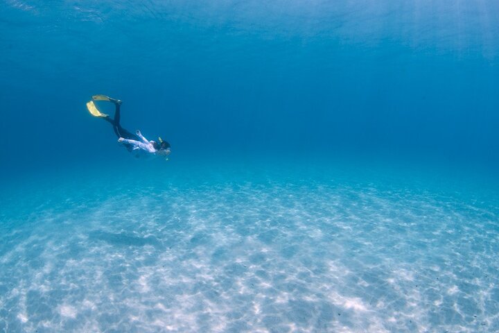 Snorkeling Tour to Swim with Sea Turtles at Yakushima Island