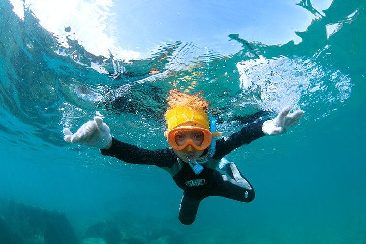 Snorkeling Tour to Swim with Sea Turtles at Yakushima Island