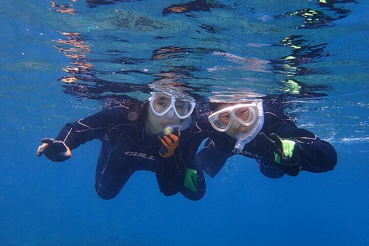 Snorkeling Tour to Swim with Sea Turtles at Yakushima Island
