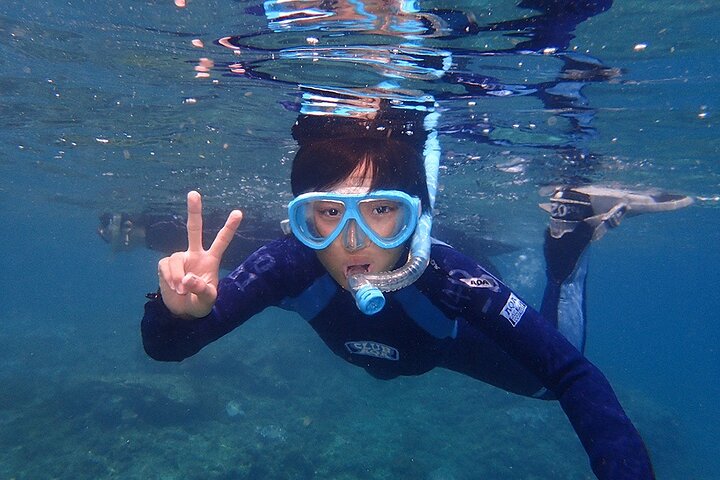 Snorkeling Tour to Swim with Sea Turtles at Yakushima Island