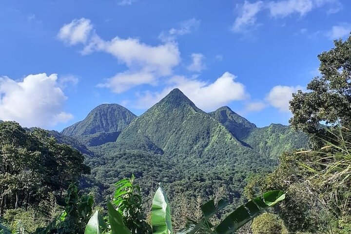 Half-Day Nature and Panorama Tour in Martinique