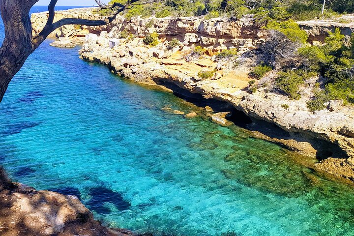 Ibiza Snorkeling Beach and Cave Tour