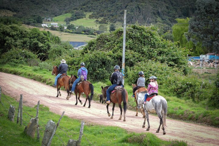 Andes Mountains Horseback Riding - Half Day