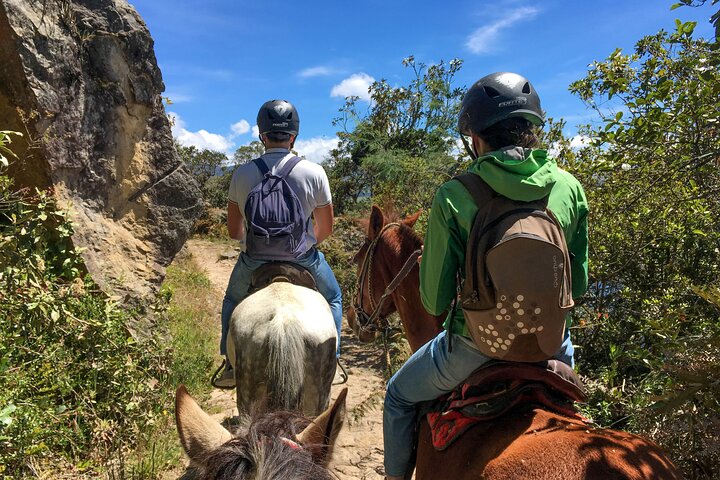 Andes Mountains Horseback Riding - Half Day