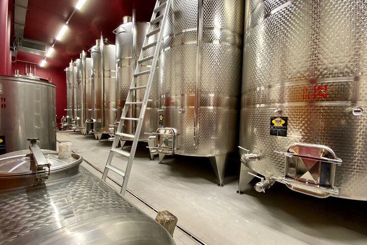 Grand tour of Valpolicella : Amarone focus, 2 Wineries and Lunch
